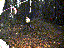 durchlaufelchkorrektur.gif (18800 Byte)